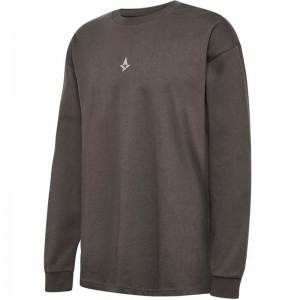 Pánské Tričko Hummel Astralis 24 Fan 2016 Loose Ls Čokolády | 524429-734