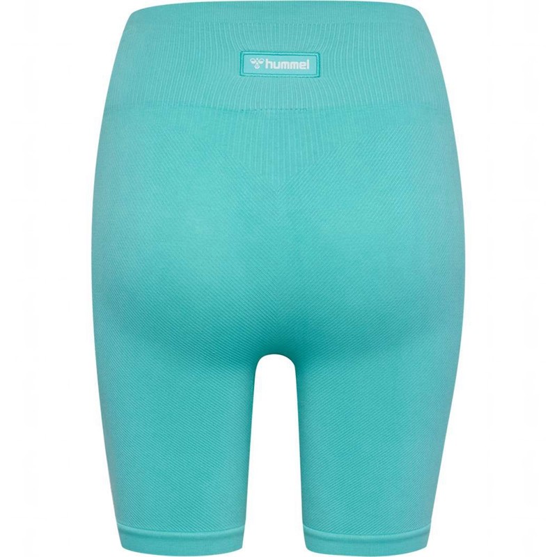 Dámské Kraťasy Hummel Alive Seamless High Waist Blankyt | 796917-868