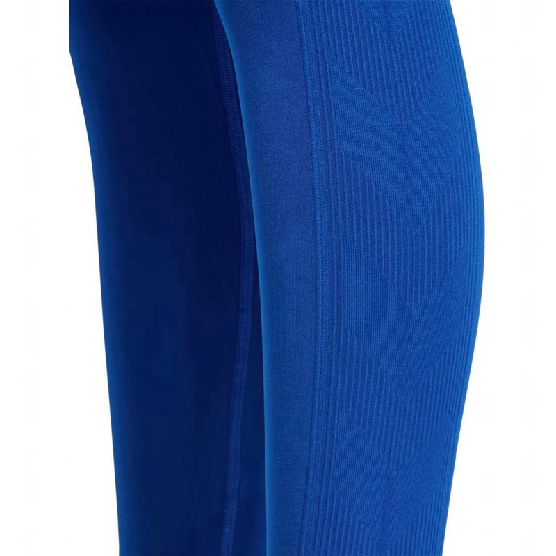 Dámské Punčochové Kalhoty Hummel Tif Seamless High Waist Blankyt | 647771-289