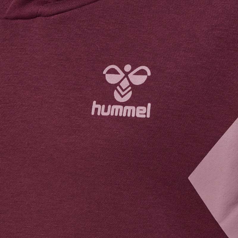 Dětské Mikina s Kapucí Hummel Active Co Vínové | 400458-821
