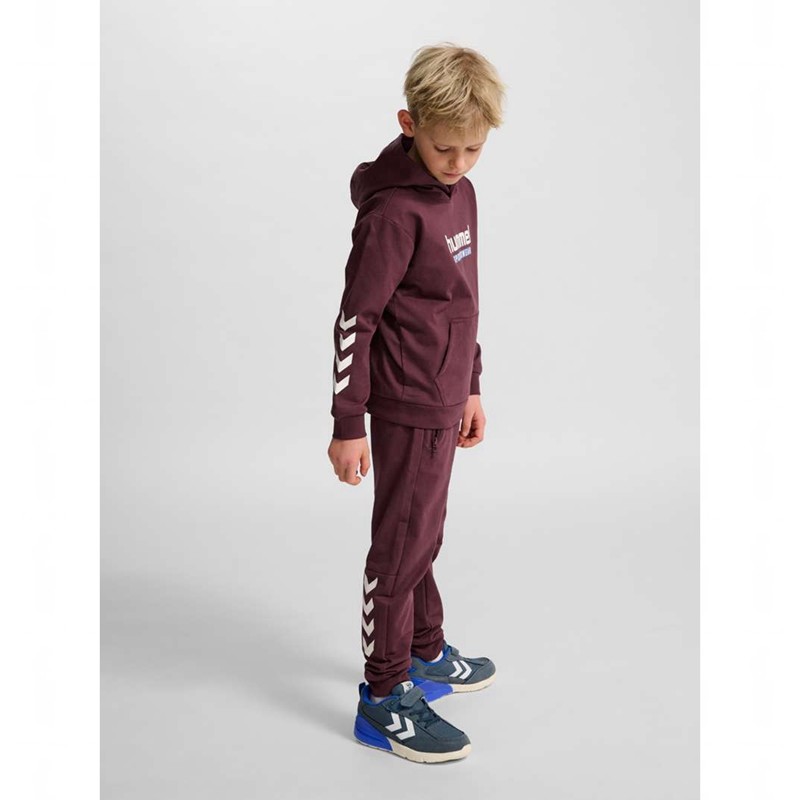 Dětské Mikina s Kapucí Hummel Jr Logo Vínové | 759227-359