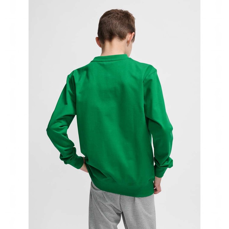 Dětské Obuv Do Tělocvičny Hummel Go 2.0 Zelene | 116283-219