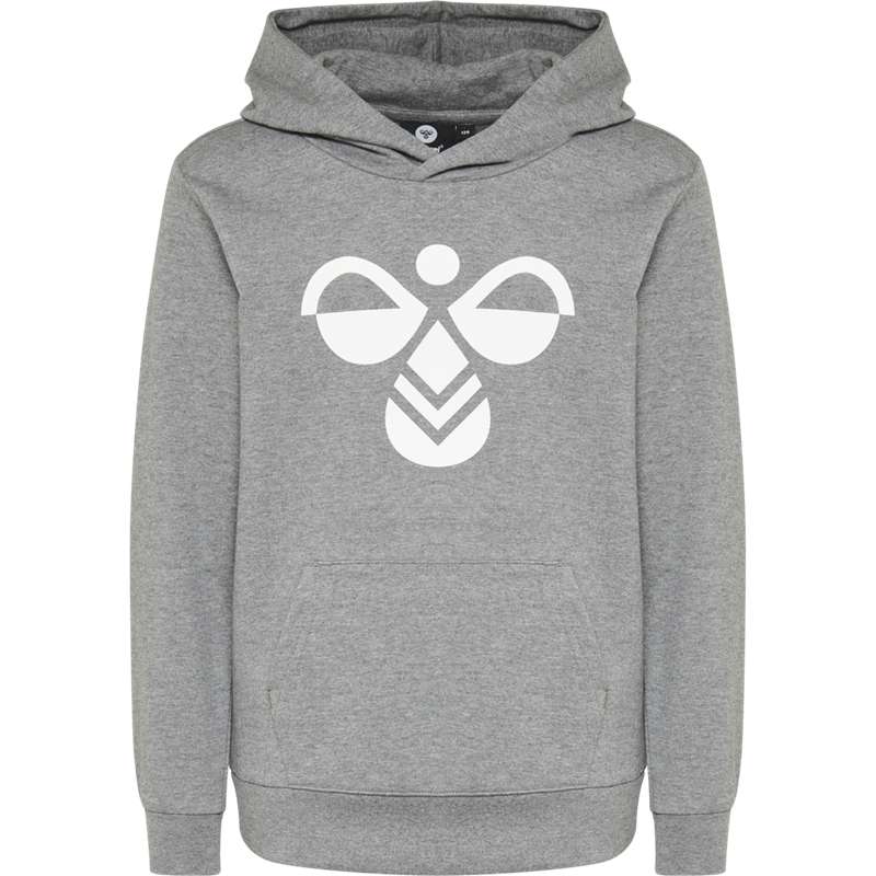 Dětské Sportovní Oblečení Hummel Cuatro Šedé | 593253-311