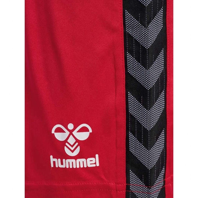 Pánské Kraťasy Hummel Authentic Pl Červené | 293669-461