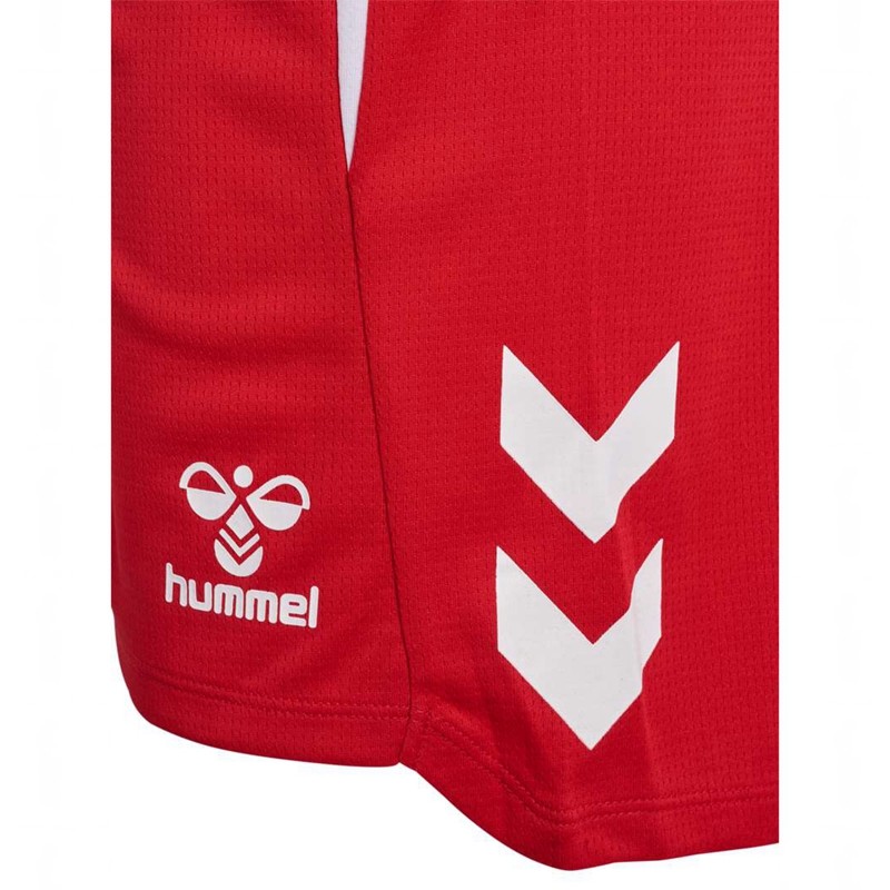 Pánské Kraťasy Hummel Lead 2.0 Červené | 267235-172