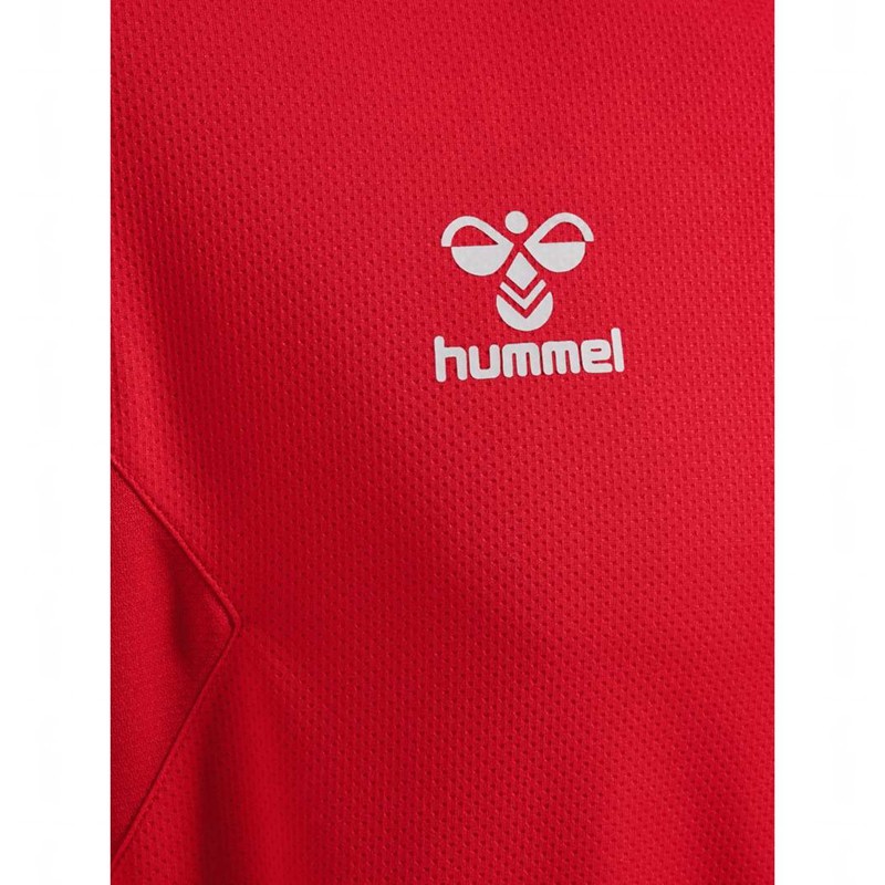Pánské Mikina s Kapucí Hummel Authentic Pl Červené | 869820-786