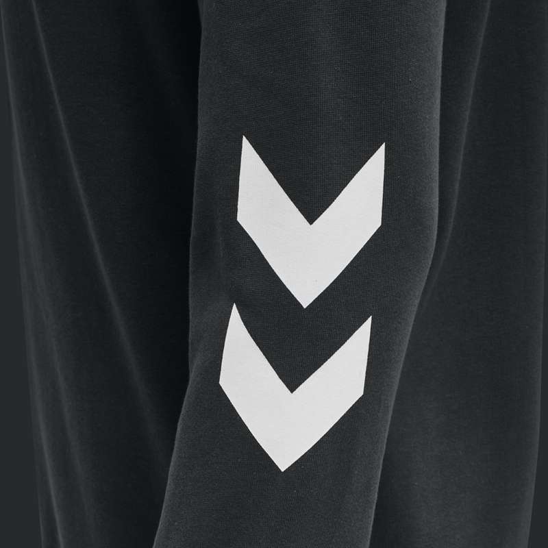 Pánské Mikina s Kapucí Hummel Legacy Zip Plus Černé | 478094-938