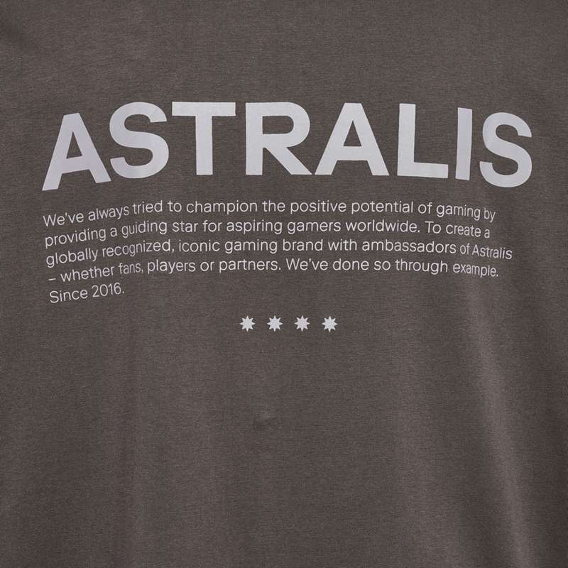 Pánské Tričko Hummel Astralis 24 Fan 2016 Loose Ls Čokolády | 524429-734
