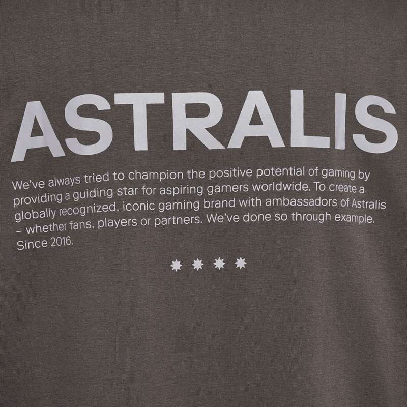 Pánské Tričko Hummel Astralis 24 Fan 2016 Loose Ss Čokolády | 885490-653