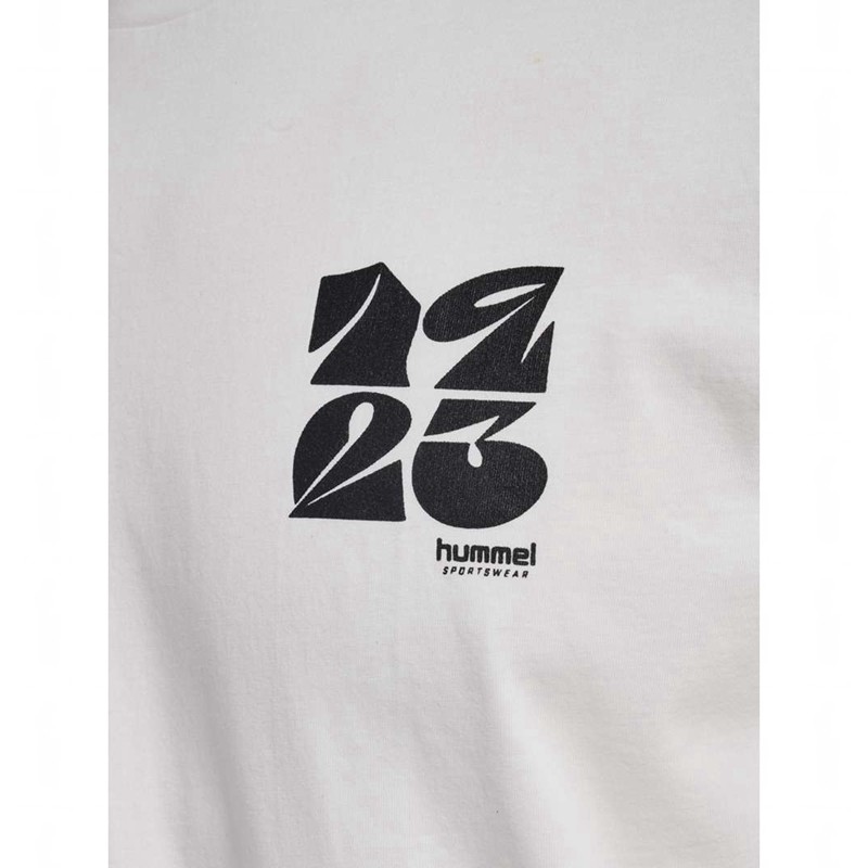 Pánské Tričko Hummel Regular Graphic S/S Bílé | 133555-118